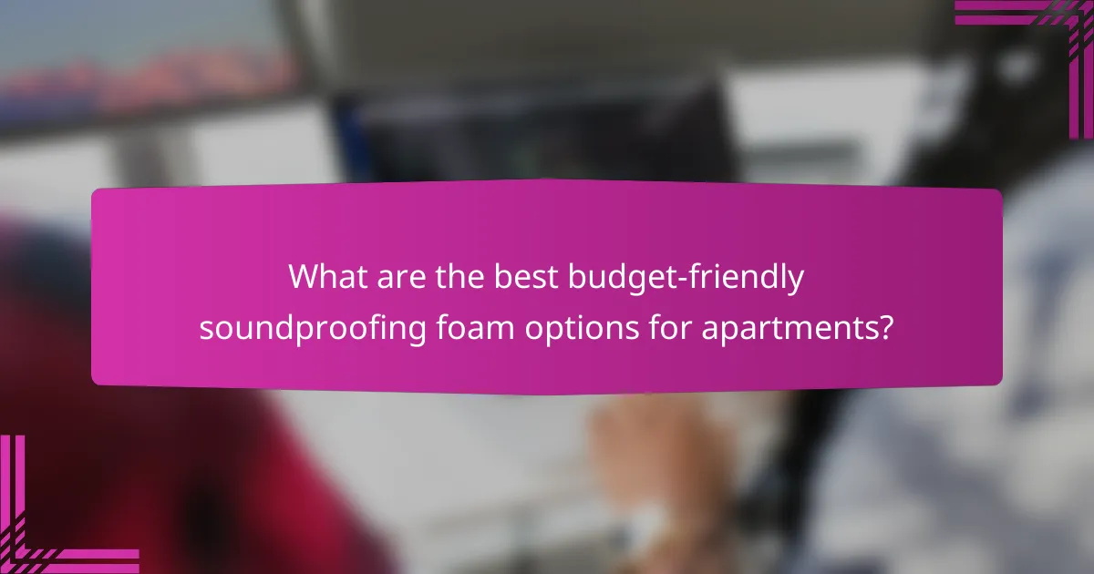 What are the best budget-friendly soundproofing foam options for apartments?